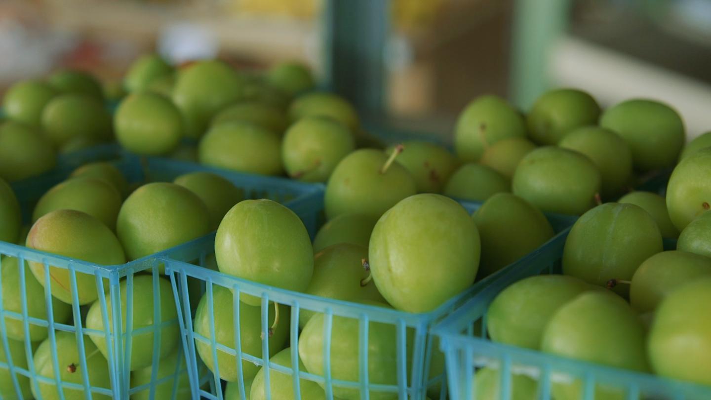 Fresh Green Plums - 1 LB | Sour & Tasty | Janerik